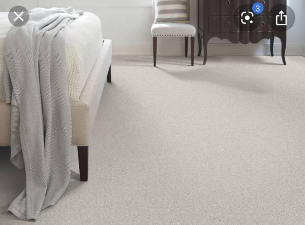 Carpet and upholstery cleaning