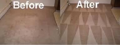 Professional Carpet Cleaning