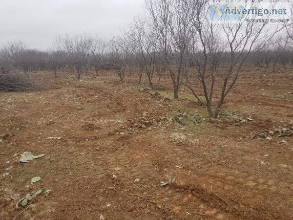 Land clearing
