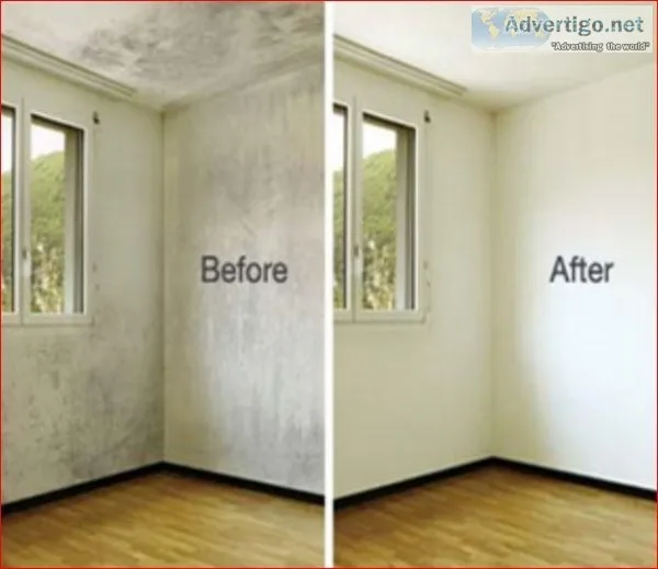 Cheapest Woodworm Treatment Cost In UK Call  01702309645
