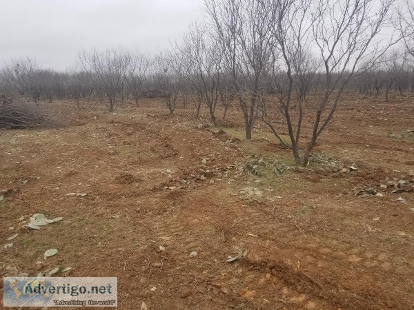 Land clearing