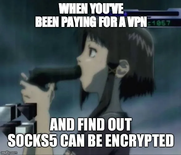 Tired Of Paying For VPNs I Will Give You The NEW ENCRYPTED Socks