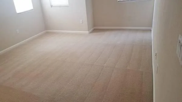 Professional carpet cleaning