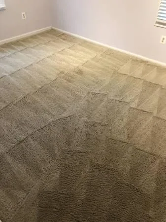 stephen s carpet and upholstery cleaning (deep steam) specials