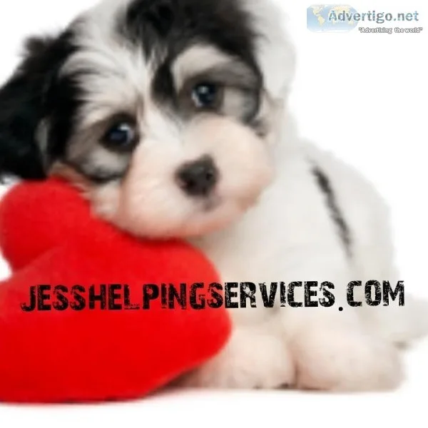 Are you looking for any cleaningdogwalking petsiitingbabysitti n