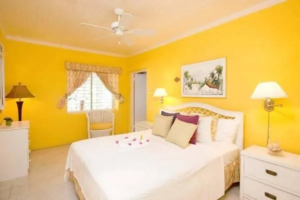 Amzing__3Br House for REnt__