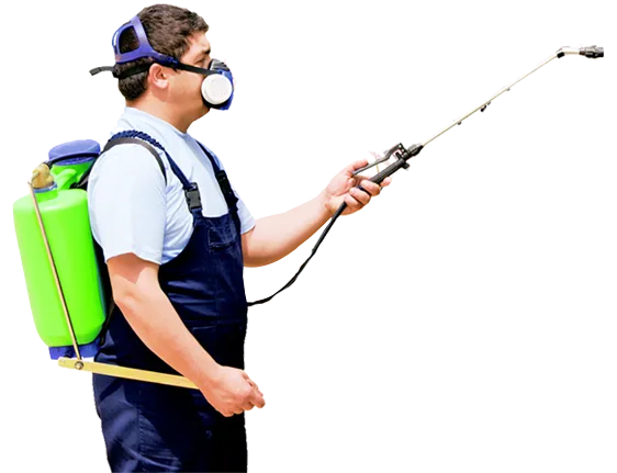 Best Flies Control Service in Noida