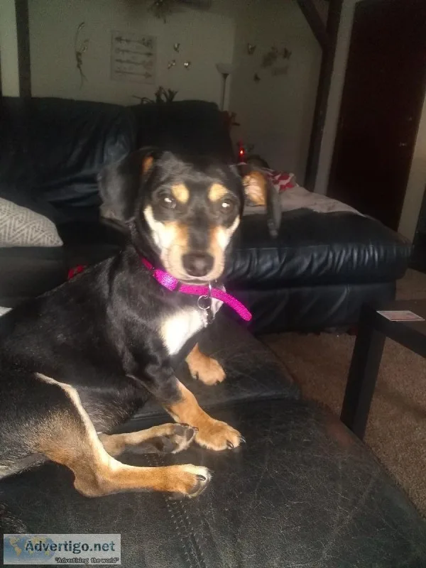 Fixed female chiwinnie