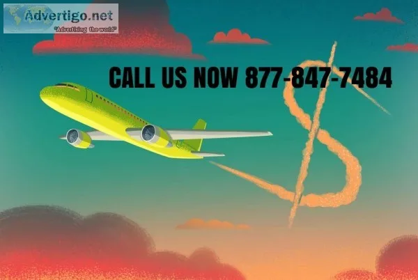 Looking for the best flight deals for your next trip