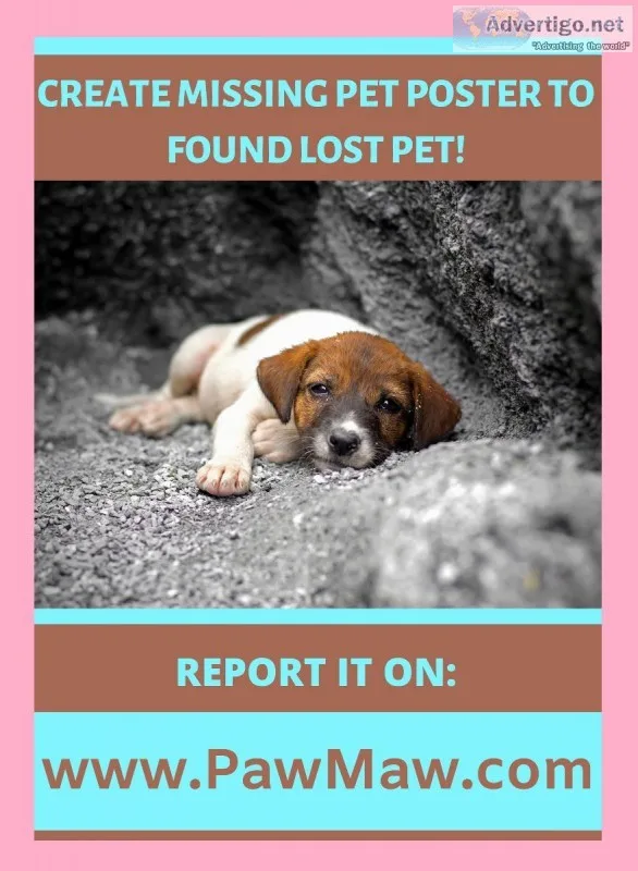 LOST AND FOUND PET RESCUE COMMUNITY