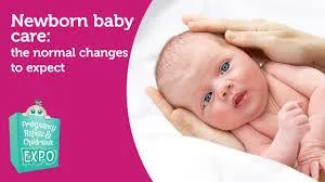 Home Nursing Services