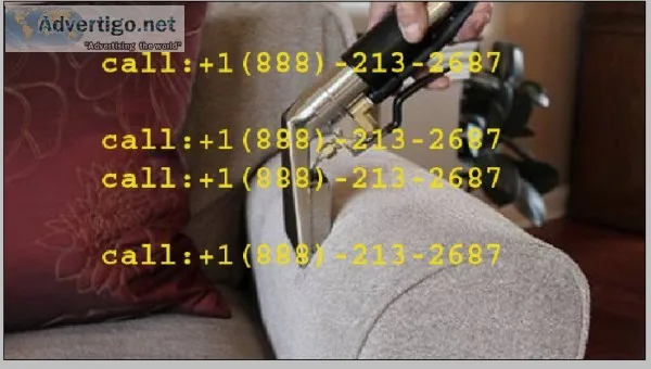 Get professional care for your Carpet Cleaning&gt&gt