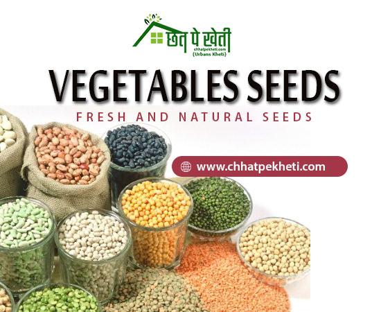 Purchase Online Vegetable Seeds With Cheapest Value