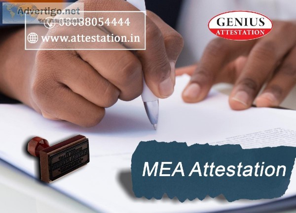 Best MEA Attestation