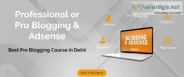 Blogging course in Delhi