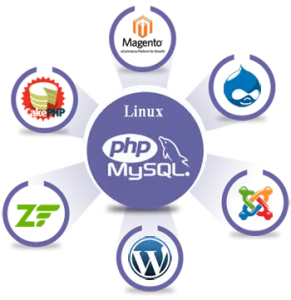 PHP Development Company