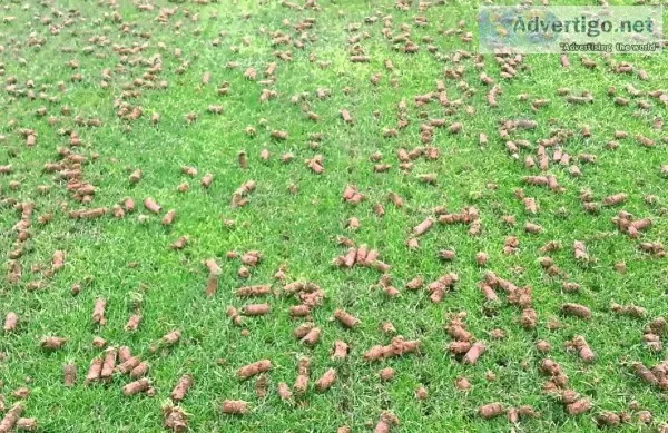 AerationGeek
