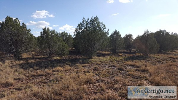 1.99 acres in williams arizona.