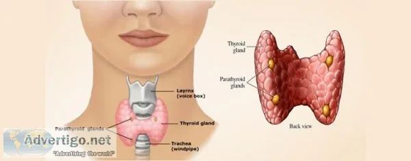 Thyroid Ayurvedic Clinic-Dr.Digish(M.D Ayu)Best Ayurvedic Doctor