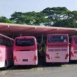 charter bus Singapore