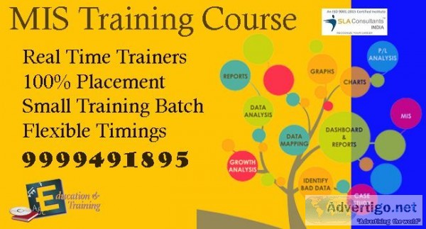 Get Best MIS Training Course in Delhi at SLA Consultants India