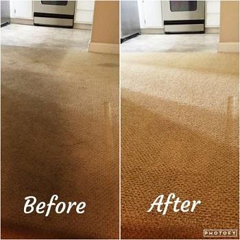 The Carpet and Tile Cleaning Guy