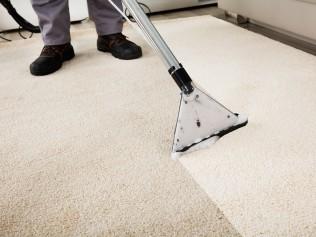 Carpet cleaning Hot steam deep clean Fast drying time.
