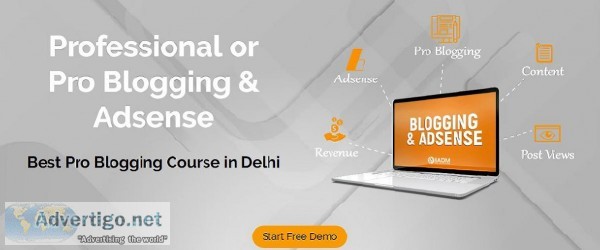Blogging Course in Delhi