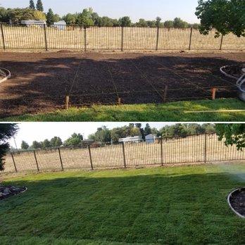 Sod installation