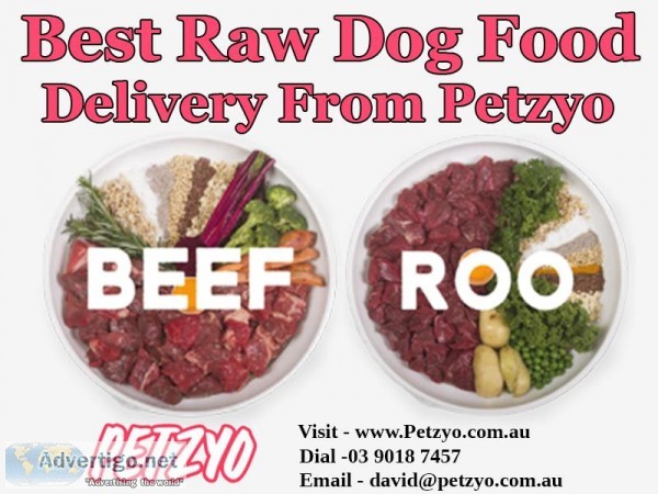 Best Raw Dog Food Delivery From Petzyo