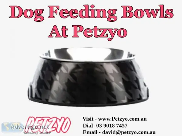Dog Feeding Bowls At Petzyo