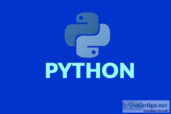 PROFESSIONAL TRAINING IN PYTHON AT VSITDWARKA