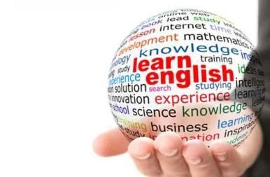 Online diploma in pre and primary teacher training course