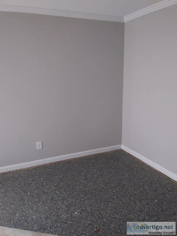 HOME REPAIR AND PAINTING
