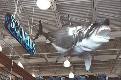 NEW 17 FT GREAT WHITE SHARK MOUNT FIBERGLASS REPLICA