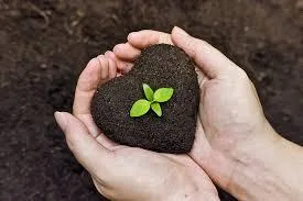 Get The Best Humic Acid Manufacturer In India