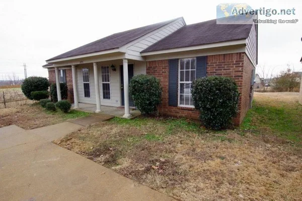 A Comfortable Apartment Available Now