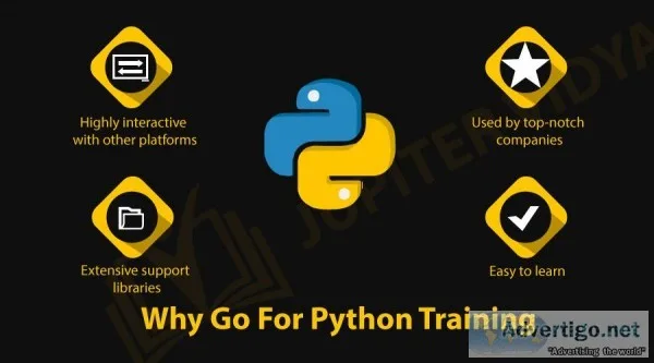 Python Training with Professionals