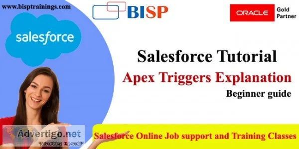 Apex Trigger explained with an example beginner guide