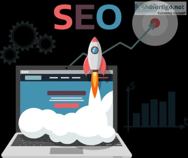 Best SEO Training In Chandigarh