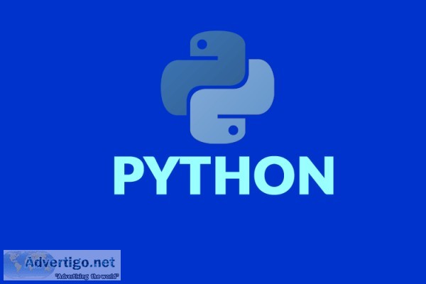 PROFESSIONAL TRAINING IN PYTHON AT VSITDWARKA