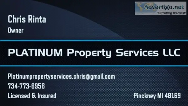 PLATINUM PROPERTY SERVICES LLC