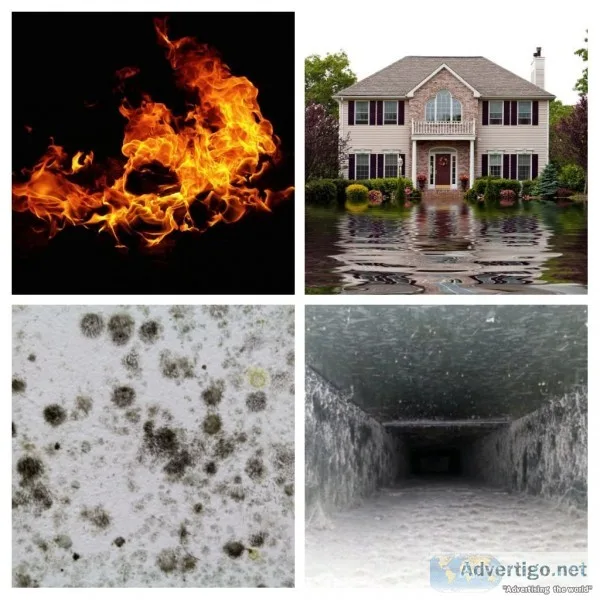 Free mold estimates