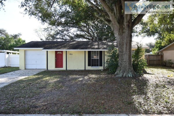 Welcome to 6419 Willow Wood Ct Tampa FL 33634