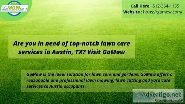 Are you in need of top-notch lawn care services in Austin TX Vis
