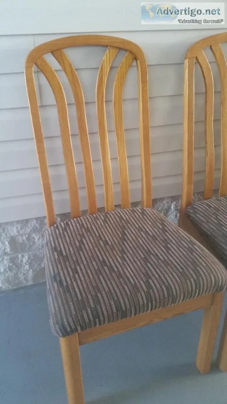 Dining Chairs