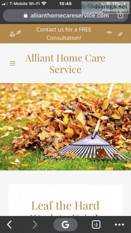 Yard cleaning service