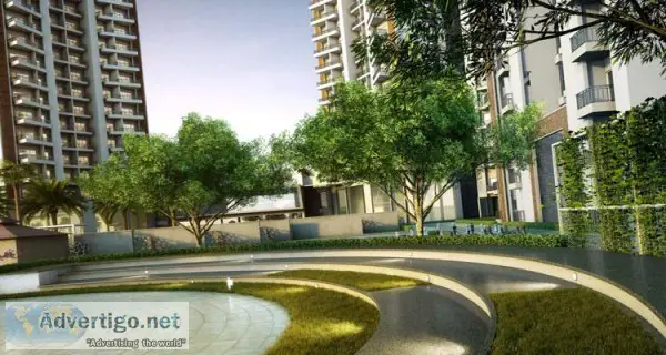 Ace Divino 2 BHK Economical Residential Flats  Rs 3663 PSF991148