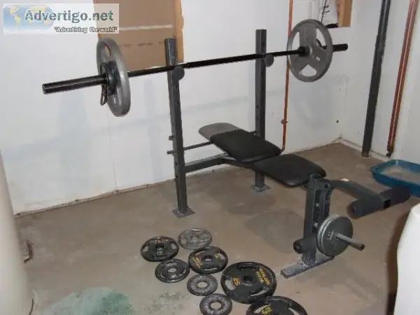 Golds weight Bench set Bar rack bench and extra weights