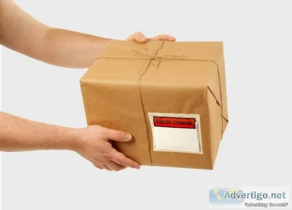 SR LOGISTIC INDIA PVT. LTD. have any kind of Domestic Service